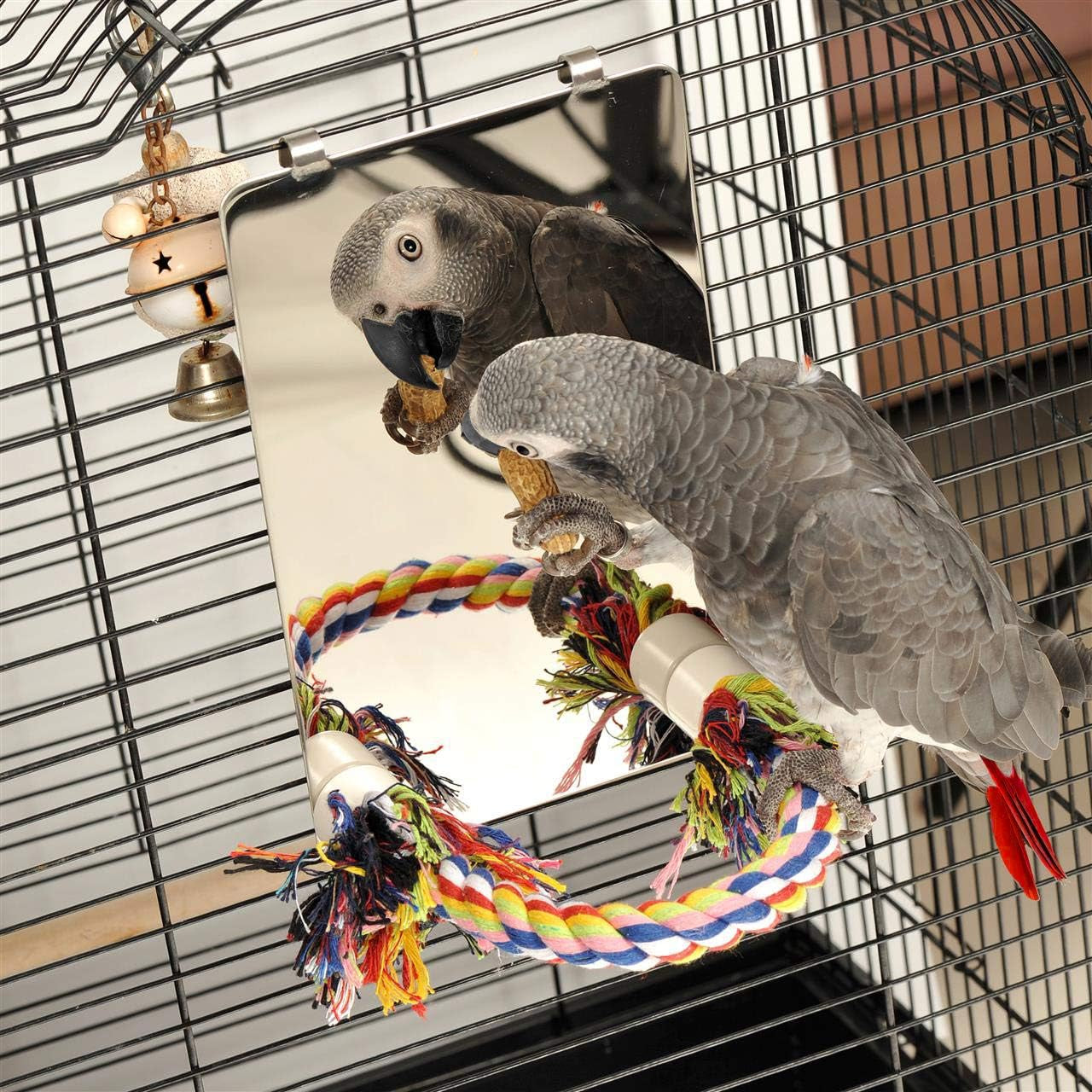 9 Inch Stainless Steel Bird Mirror with Rope Perch, Bird Toys Swing, Comfy Perch for African Grey Parakeet Cockatiel Conure Lovebird Finch Canaries