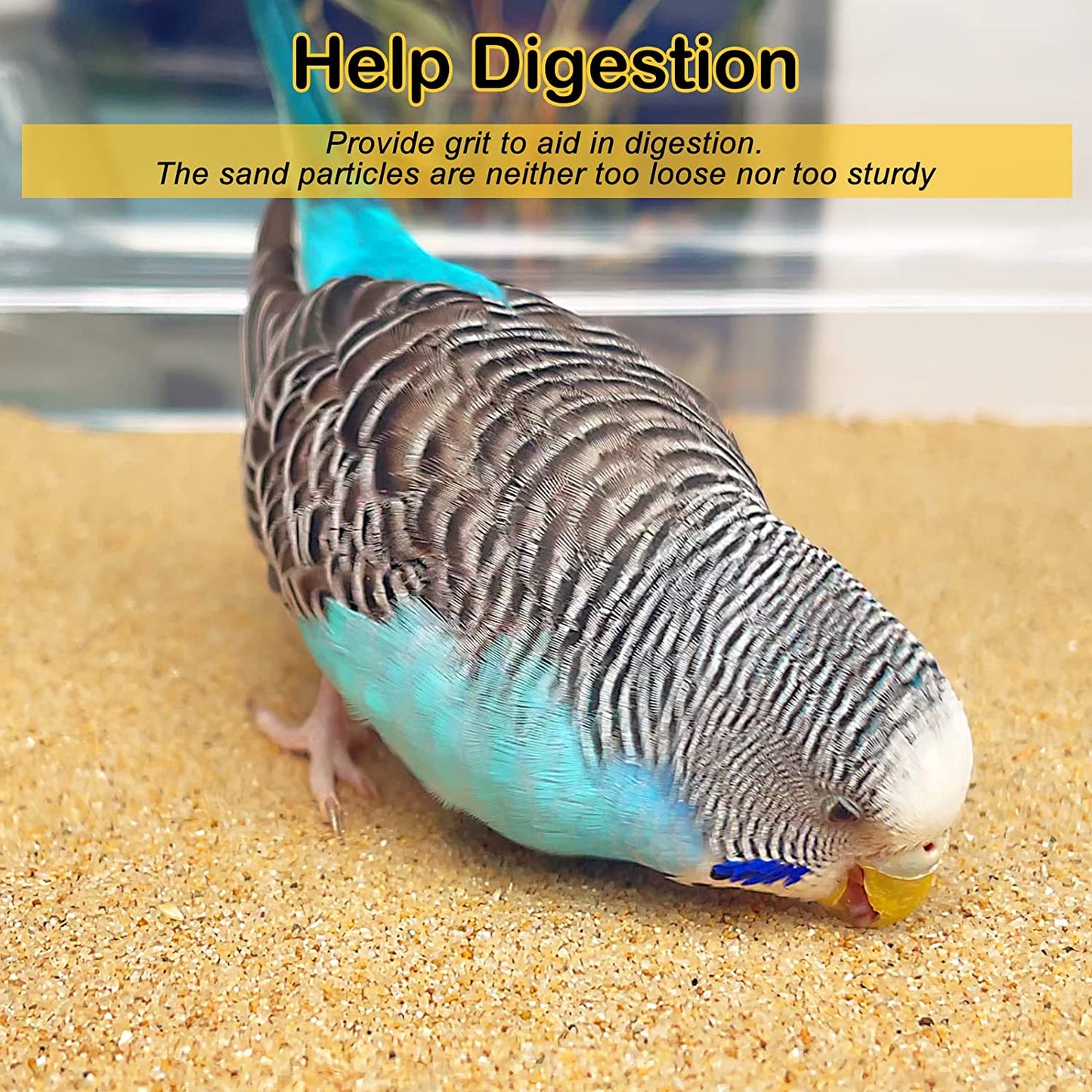 Gravel Paper for Bird Cage 30-Pack 15" X 9.5" Bird Cage Liners Disposable for Enhanced Hygiene and Bird Health