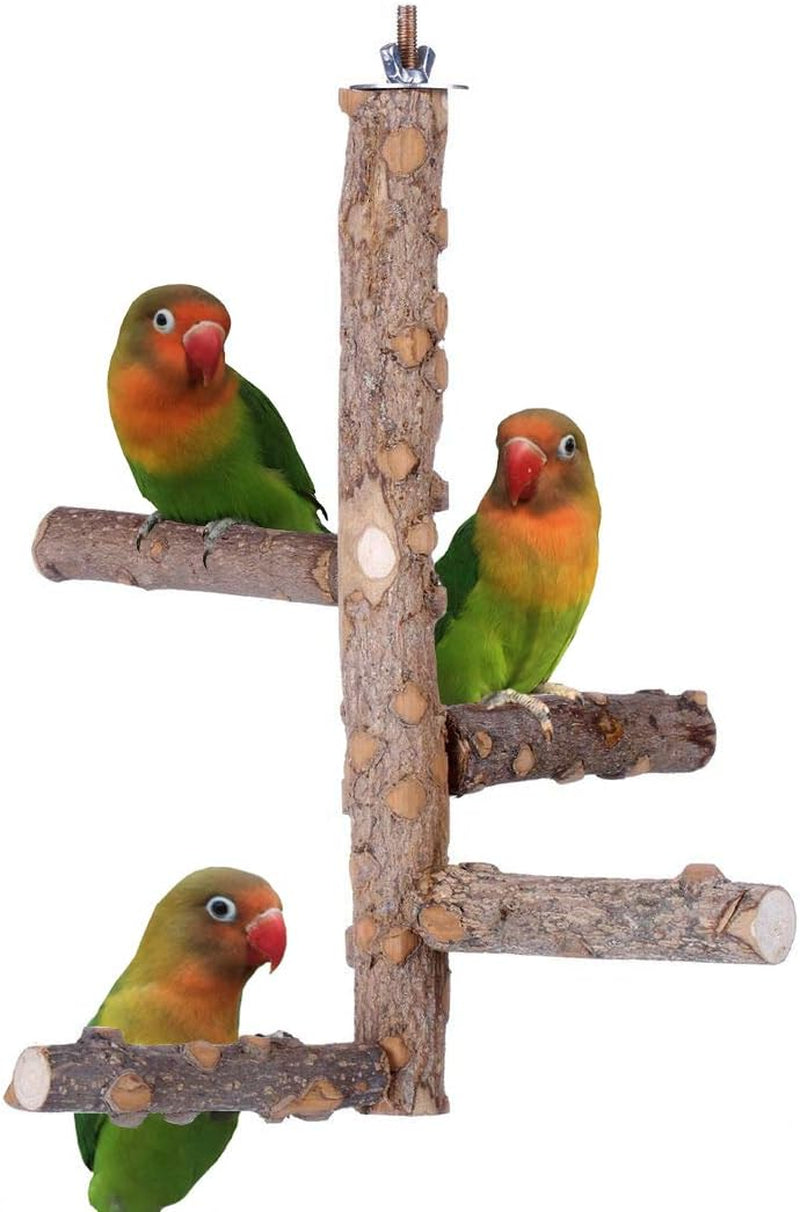Bird Perch Nature Wood Stand for 3-4Pcs Small Medium Parrots (S-For Small Parrots)